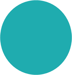 Turquoise Mint
